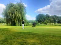 Strokeplay kampioenschap 2026