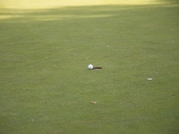Strokeplay kampioenschap 2025