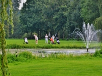 strokeplay_15_(1)_df8be93f.jpg