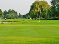 strokeplay_15_(21)_8275fb95.jpg