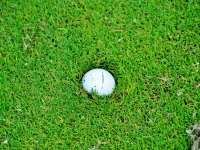 strokeplay_15_(23)_a6f3ceb9.jpg