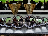 strokeplay_15_(33)_23a606c8.jpg